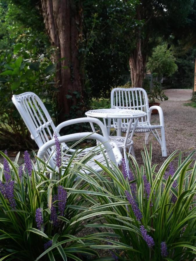 B&B Il Cortile Malpensa Casorate Sempione Luaran gambar
