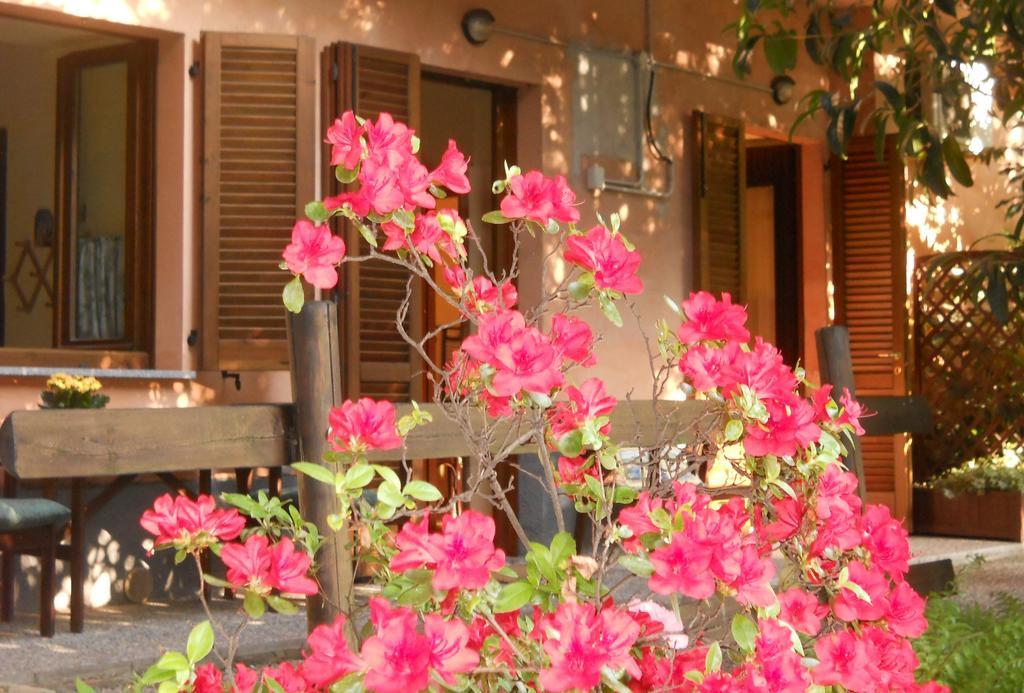 B&B Il Cortile Malpensa Casorate Sempione Bilik gambar