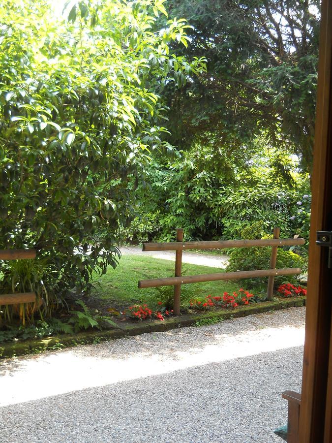 B&B Il Cortile Malpensa Casorate Sempione Luaran gambar